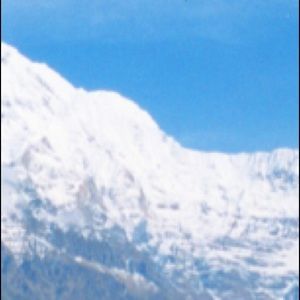 Meet your Posher, Does